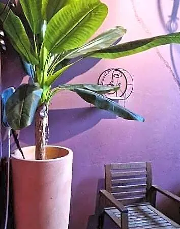 Hotel L'apotheose 3*